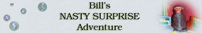 Bill's Nasty Surprise Adventure Adventure