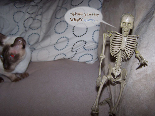 Mr. Skeleton TRIES to escape...