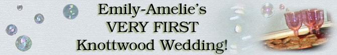 Megan and Joe's Wedding Reception!